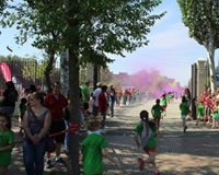 54798690_2335919923138376_9000768026546536448_n