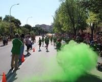 55458236_2335919026471799_3265469712527523840_n