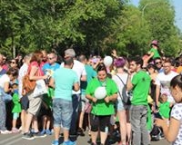 55528729_2335913999805635_4967797613958004736_n