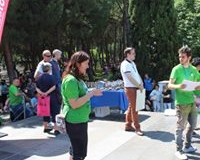 55680064_2335919589805076_5402682904016846848_n