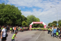 36862655_1950322335031472_6861654402223046656_o