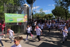 60776466_2428397247223976_7362144553224110080_o