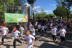 60985042_2428397370557297_590101929212772352_o