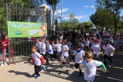 61083030_2428396043890763_8384951239074381824_o